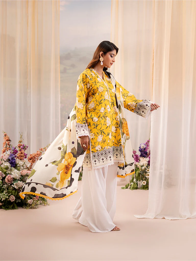 DSC04772_d896e64a-4258-4522-abb1-d62ed9c841ce_1024x1024 (1)